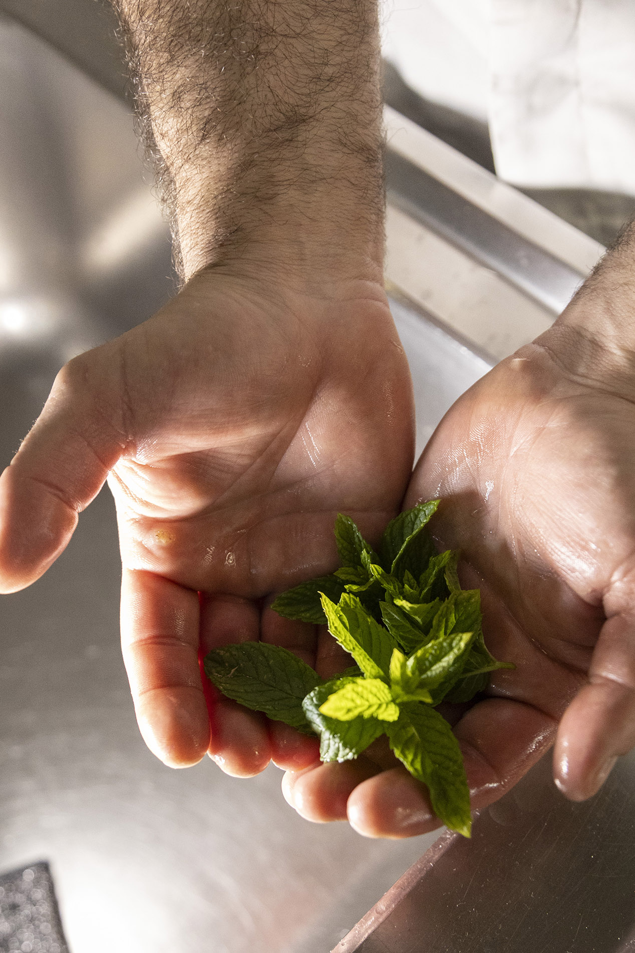 Menta fresca utilizzata nella cucina di Ciciritto
